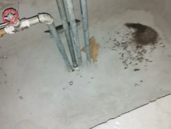 平凉市卫生间测漏水价格明细