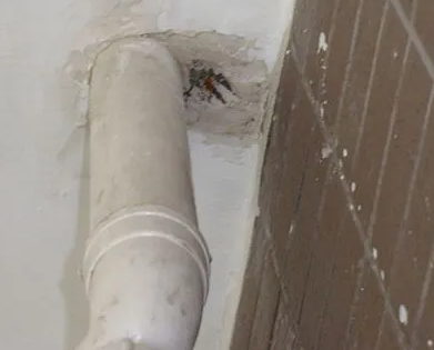 平凉市漏水检测哪家好